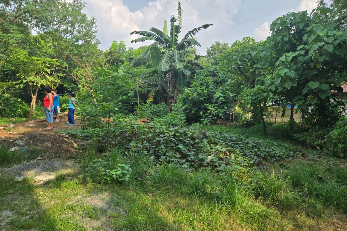 Land for Sale in Catmon, Santa Maria, Bulacan – photo 6