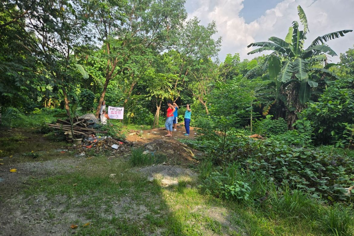 Land for Sale in Catmon, Santa Maria, Bulacan – photo 8