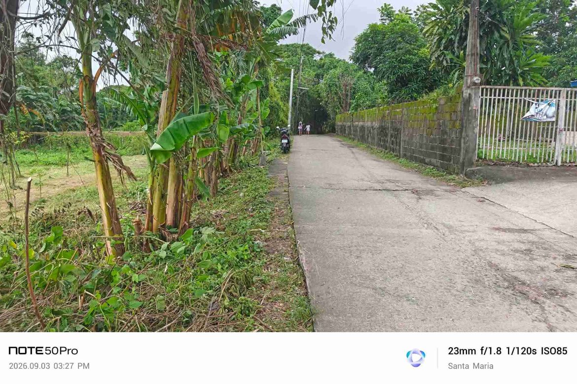 Land for Sale in Catmon, Santa Maria, Bulacan – photo 4