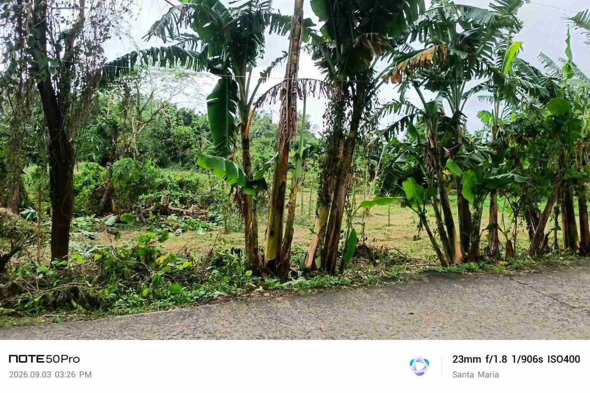 Land for Sale in Catmon, Santa Maria, Bulacan – photo 5