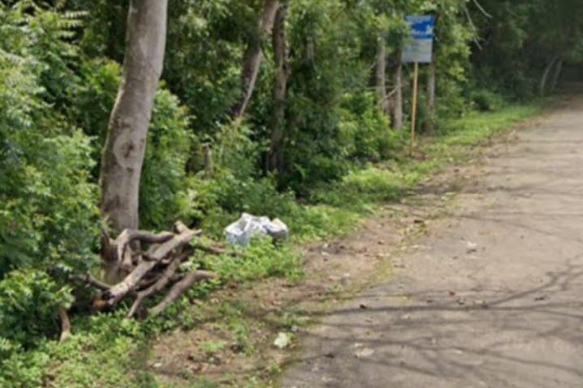 Land for Sale in Catulayan, San Juan, Siquijor – photo 4