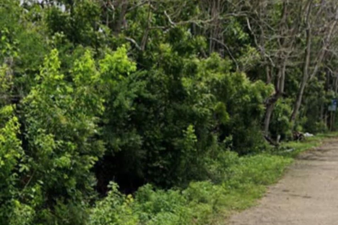 Land for Sale in Catulayan, San Juan, Siquijor – photo 5