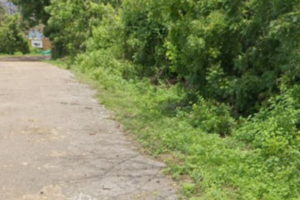 Land for Sale in Catulayan, San Juan, Siquijor – photo 8