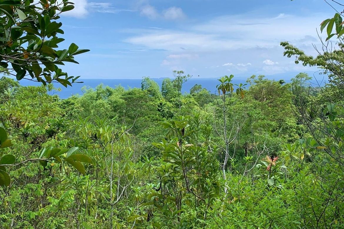 Land for Sale in Catulayan, San Juan, Siquijor