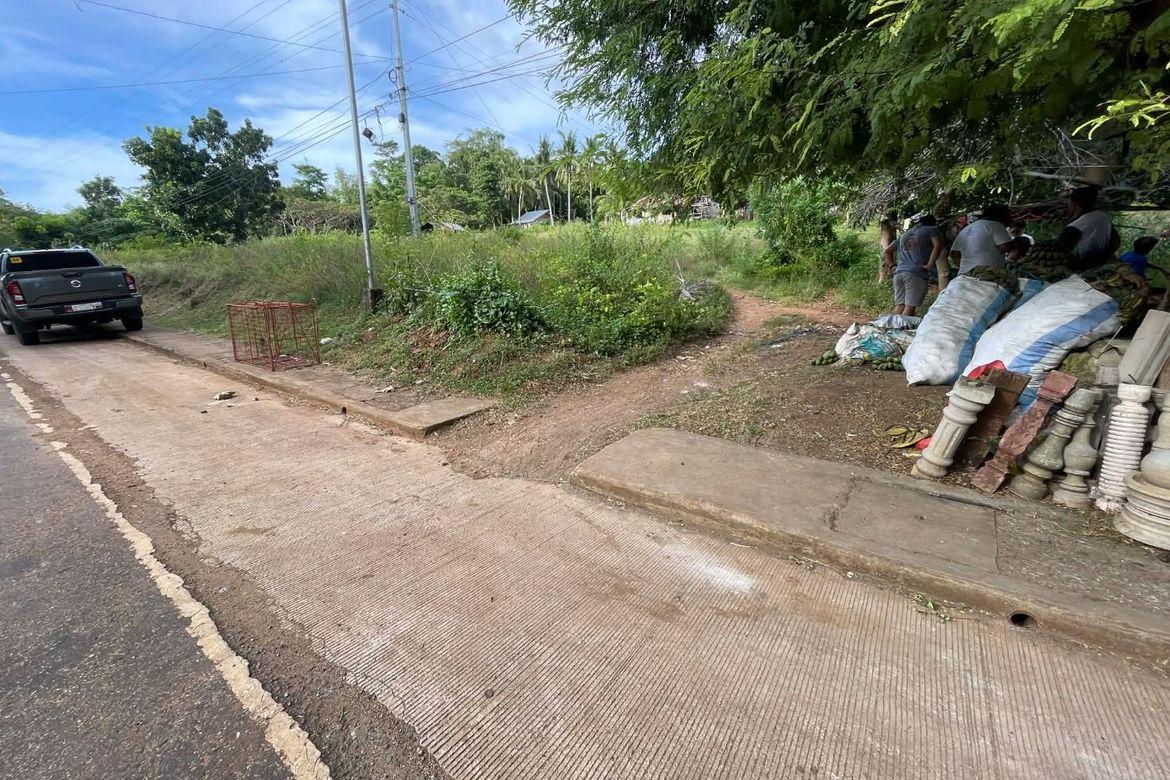 Land for Sale in Catulayan, San Juan, Siquijor – photo 7