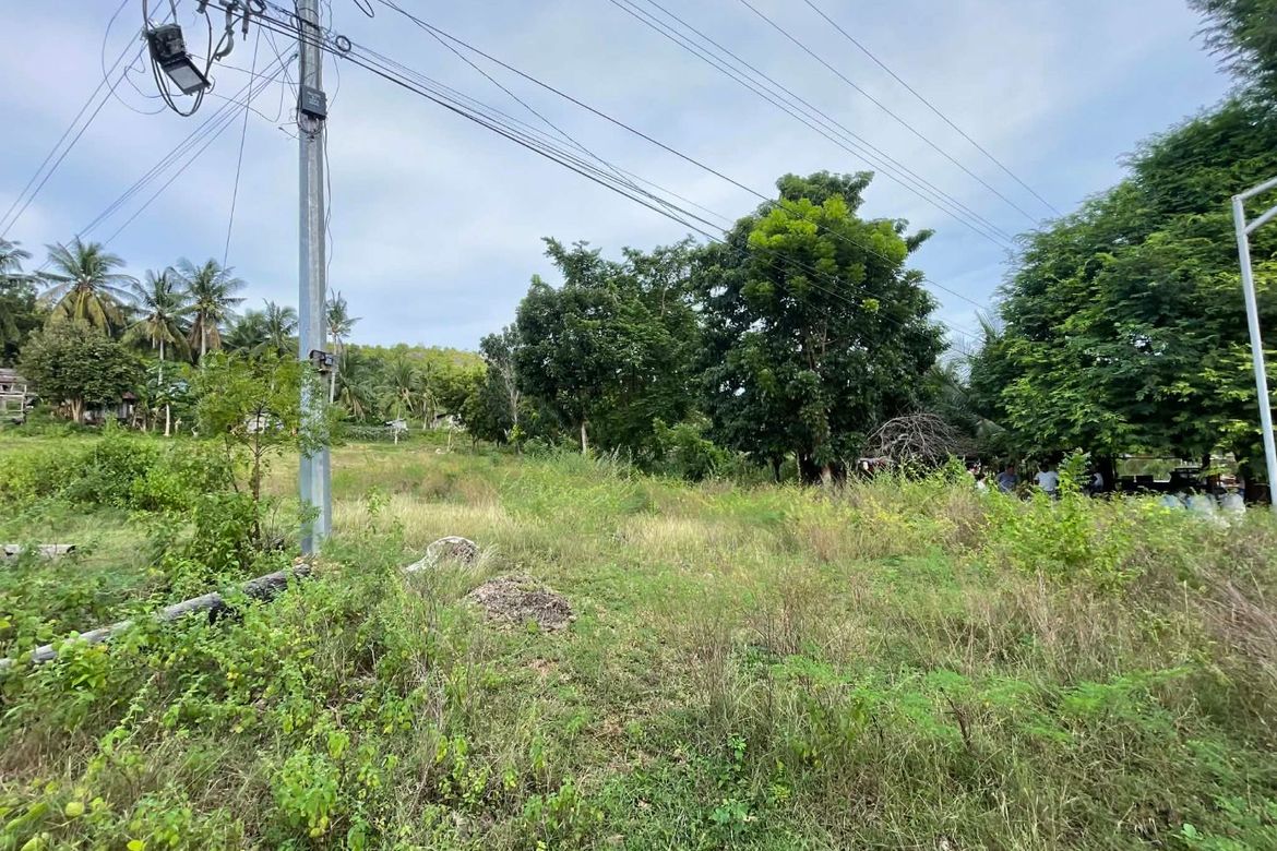 Land for Sale in Catulayan, San Juan, Siquijor – photo 8