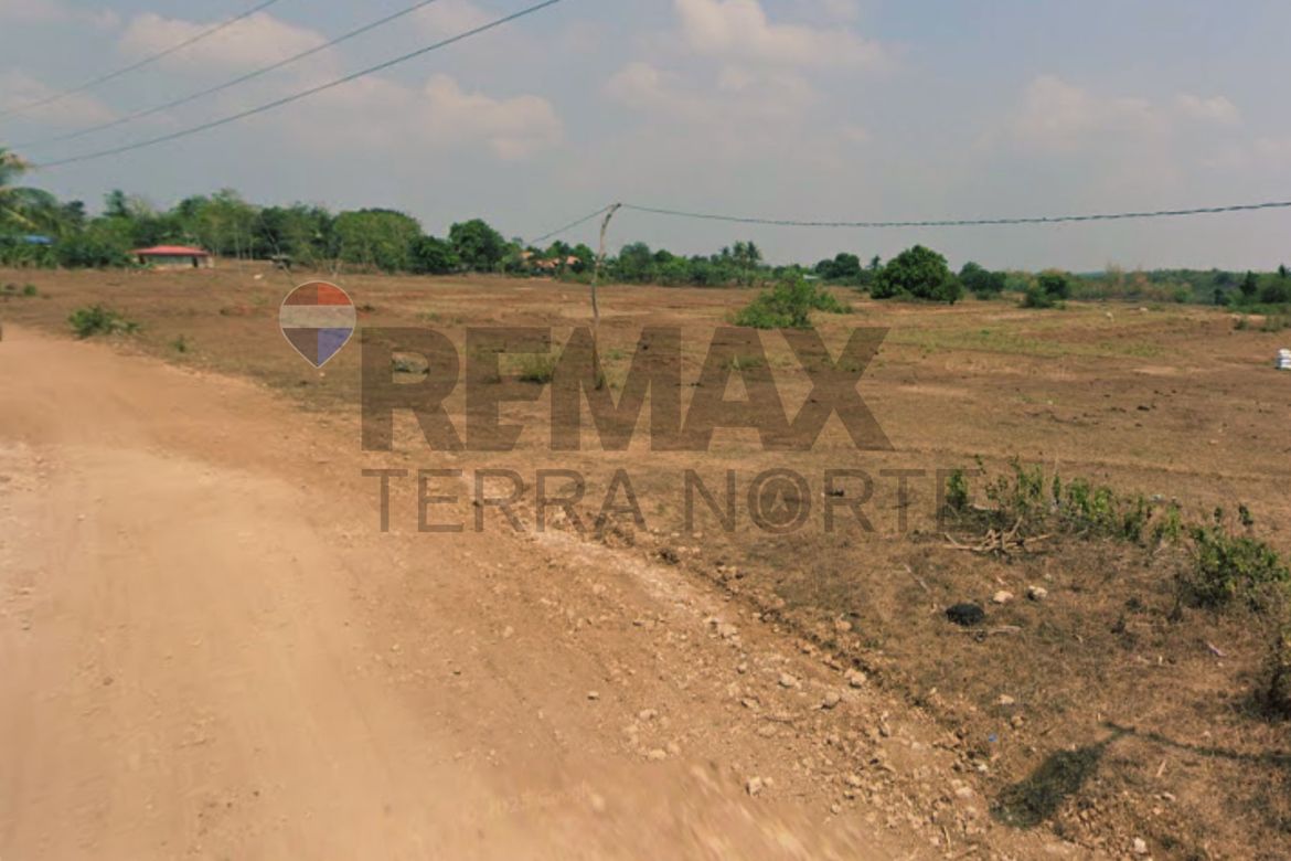 Land for Sale in Catungi, Bolinao, Pangasinan – photo 4