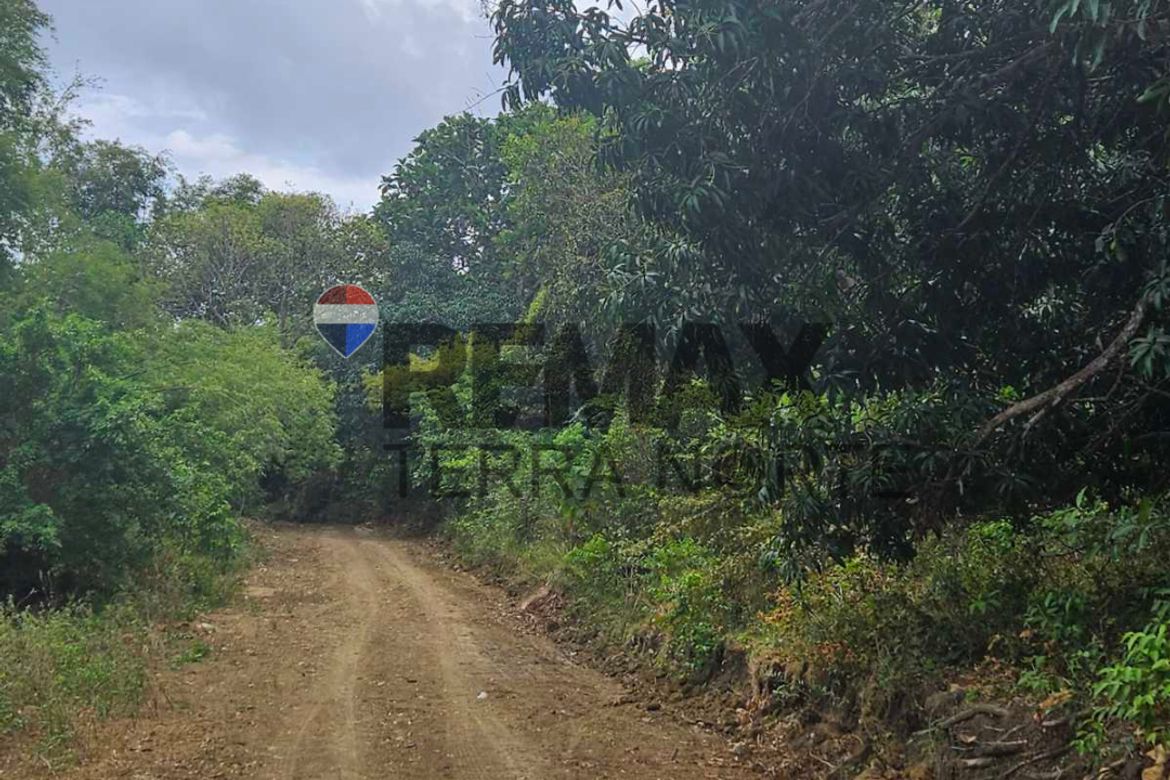 Land for Sale in Catungi, Bolinao, Pangasinan – photo 2