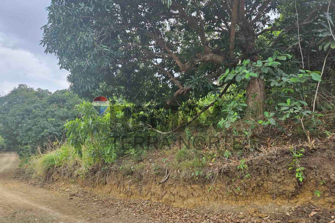 Land for Sale in Catungi, Bolinao, Pangasinan – photo 5