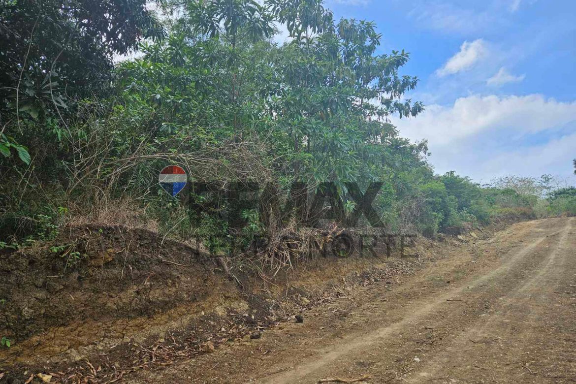Land for Sale in Catungi, Bolinao, Pangasinan – photo 7