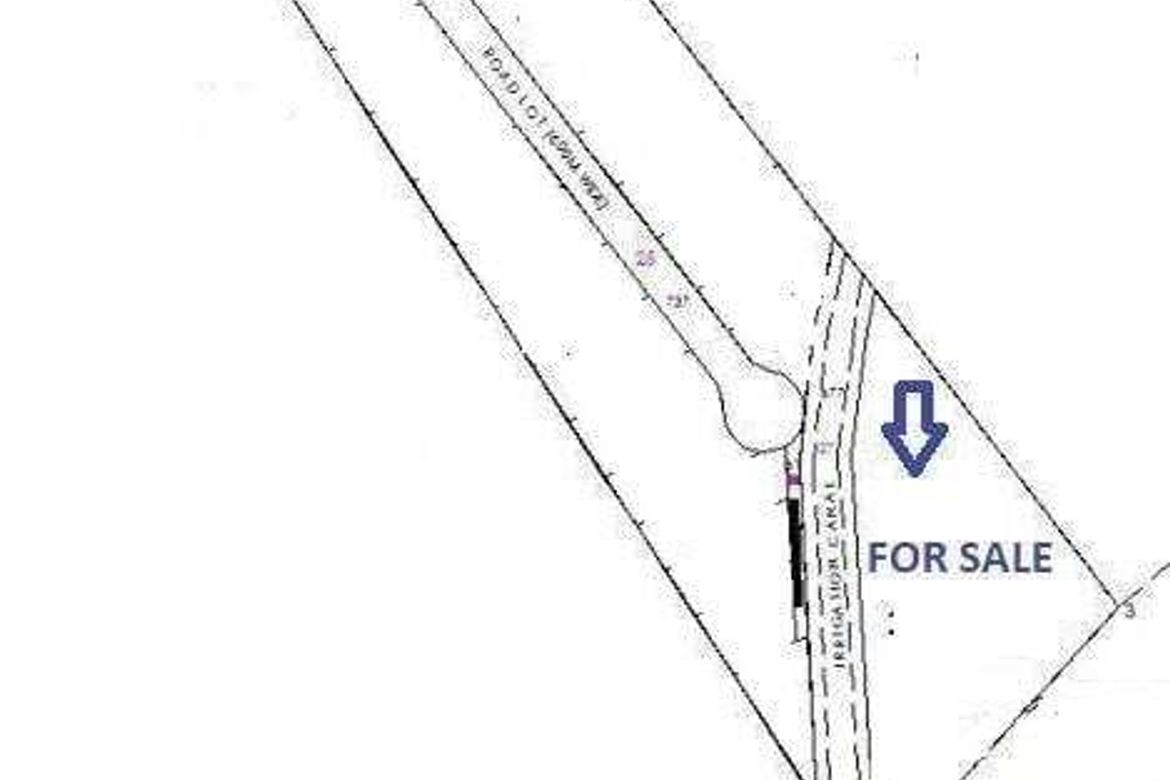 Land for Sale in Cavite, Alangalang, Leyte – photo 2