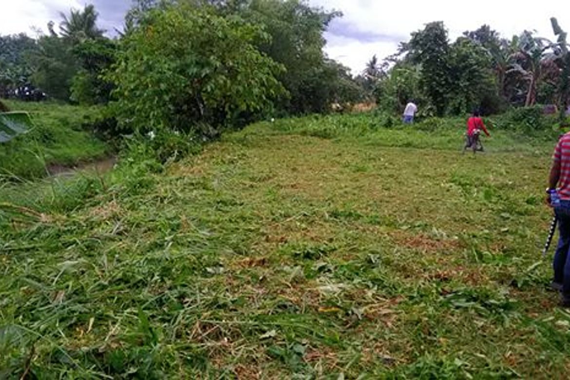 Land for Sale in Cavite, Alangalang, Leyte – photo 3