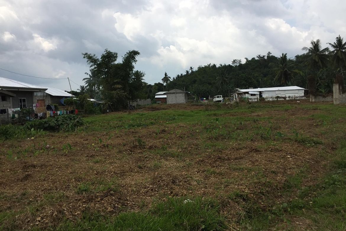 Land for Sale in Cavite, Alangalang, Leyte – photo 4