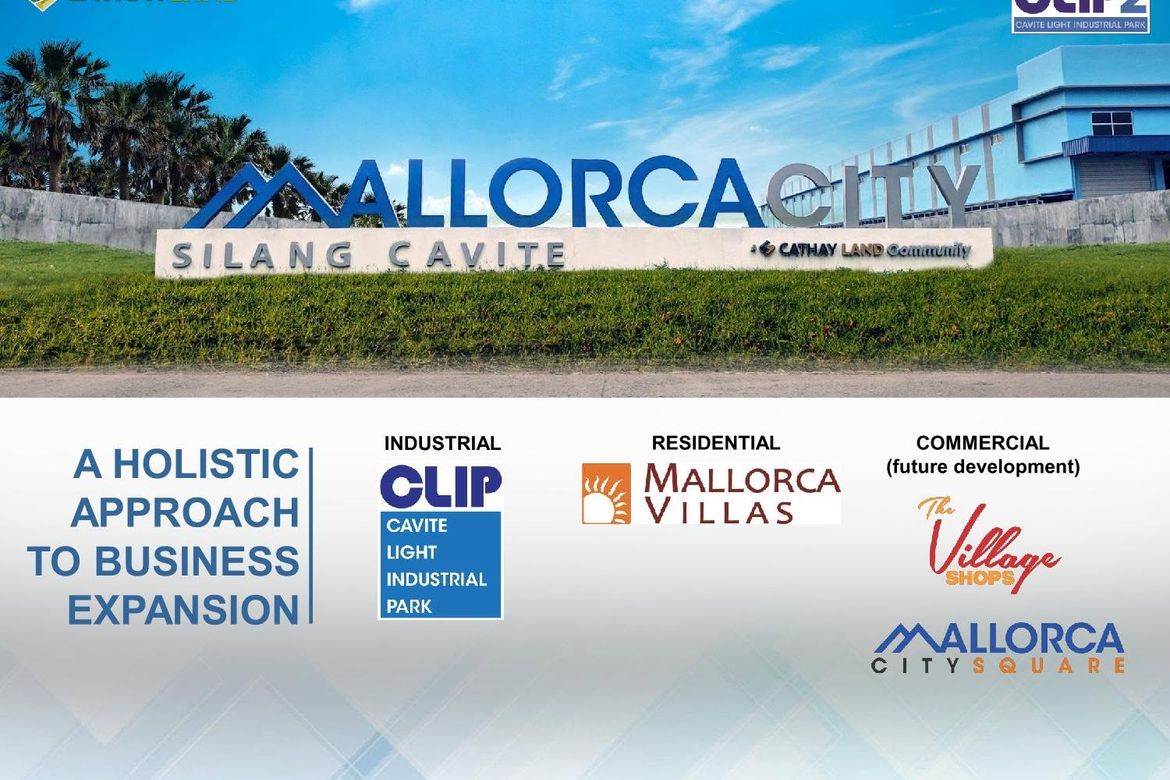 Land for Sale in Cavite Light Industrial Park, Maguyam, Silang, Cavite – photo 2