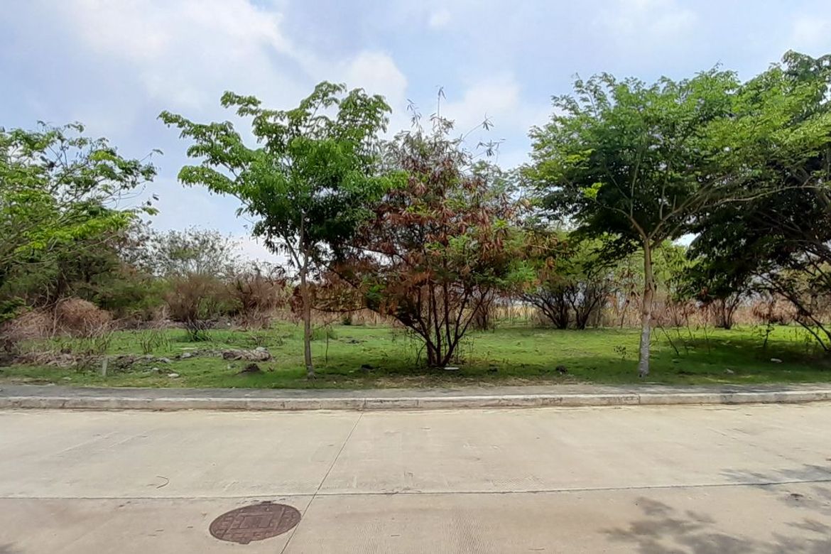 Land for Sale in Cavite Technopark, Sabang, Naic, Cavite