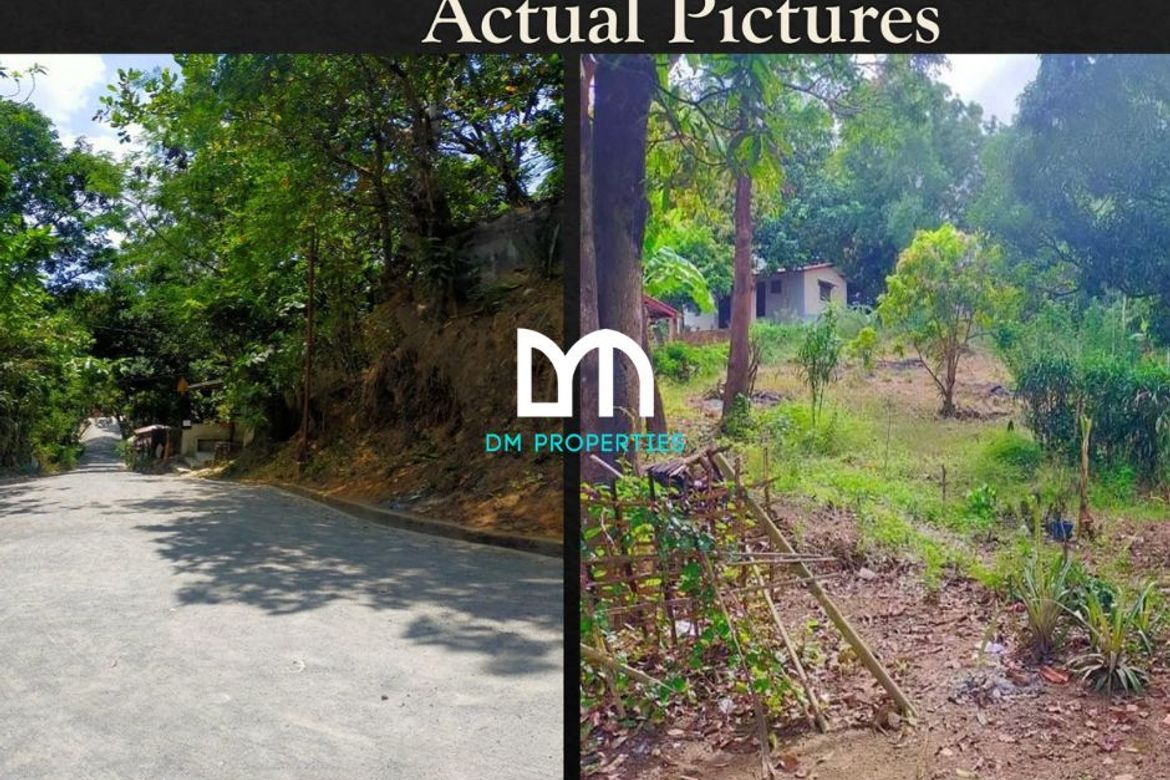 Land for Sale in Cawag, Subic, Zambales