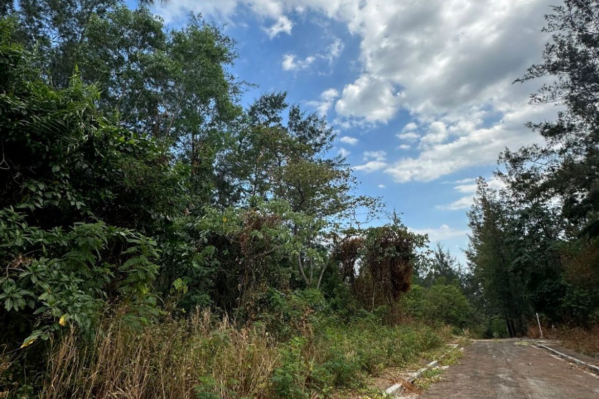 Land for Sale in Cawag, Subic, Zambales – photo 7