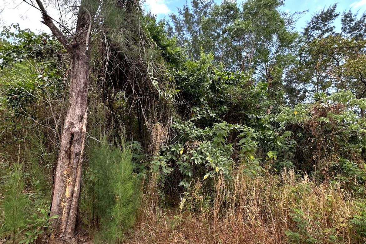 Land for Sale in Cawag, Subic, Zambales – photo 8