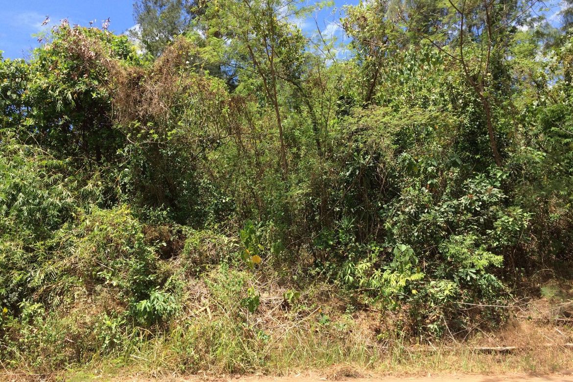 Land for Sale in Cawag, Subic, Zambales – photo 8