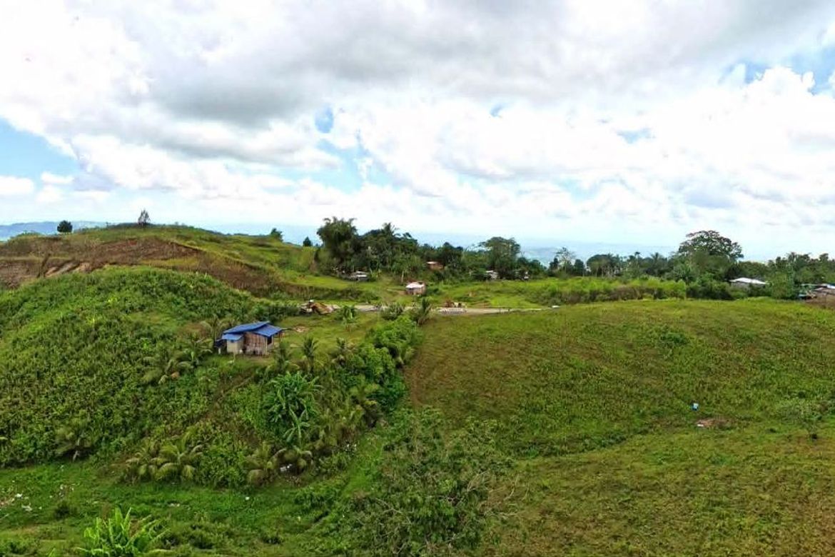 Land for Sale in Cawayan, Lantapan, Bukidnon – photo 4