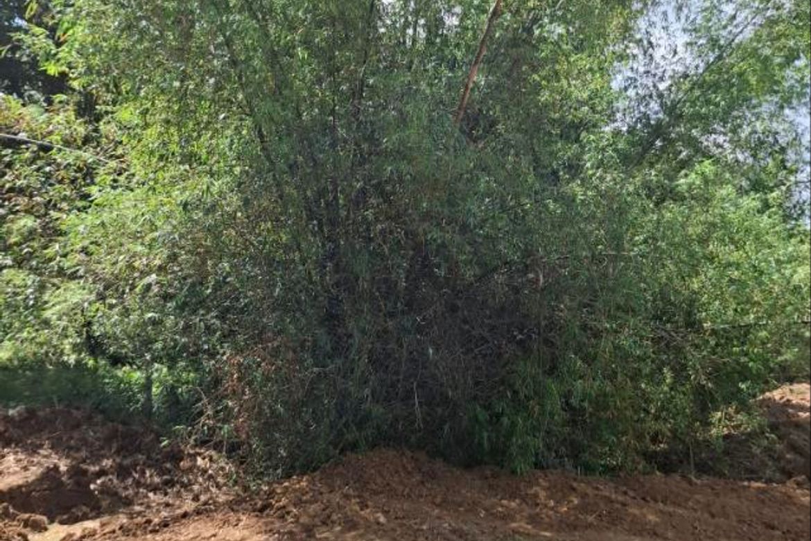 Land for Sale in Cay Pombo, Santa Maria, Bulacan – photo 6