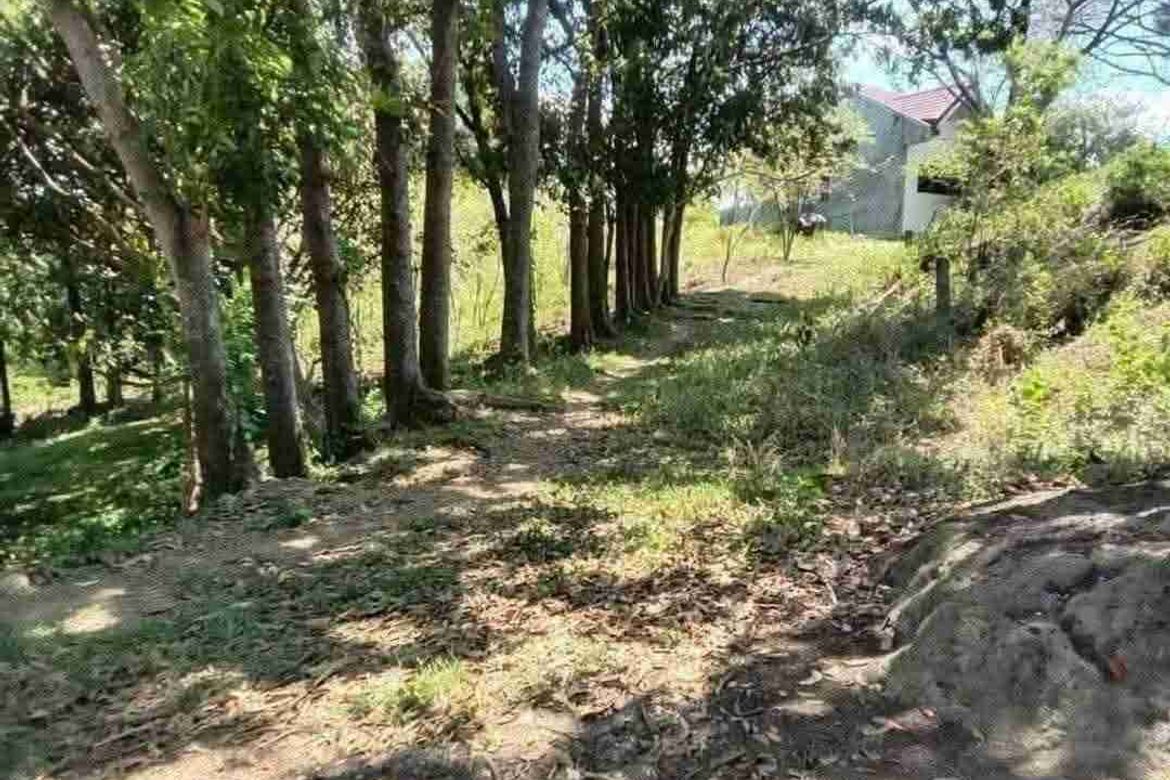 Land for Sale in Cay Pombo, Santa Maria, Bulacan – photo 5