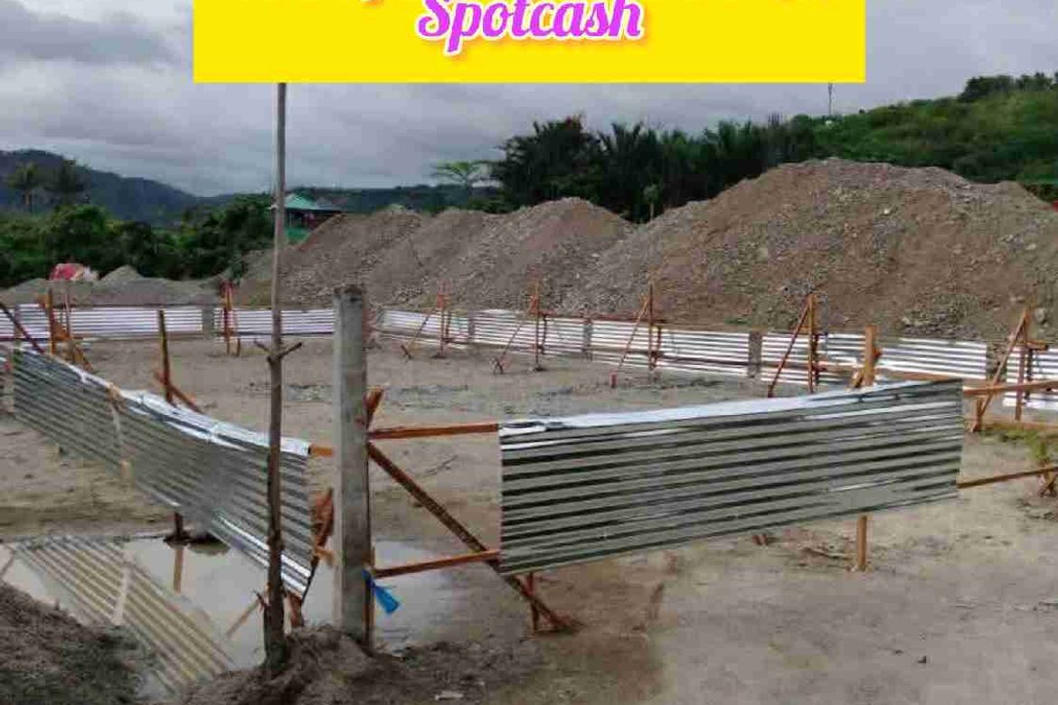 Land for Sale in Central, Mati, Davao Oriental – photo 2