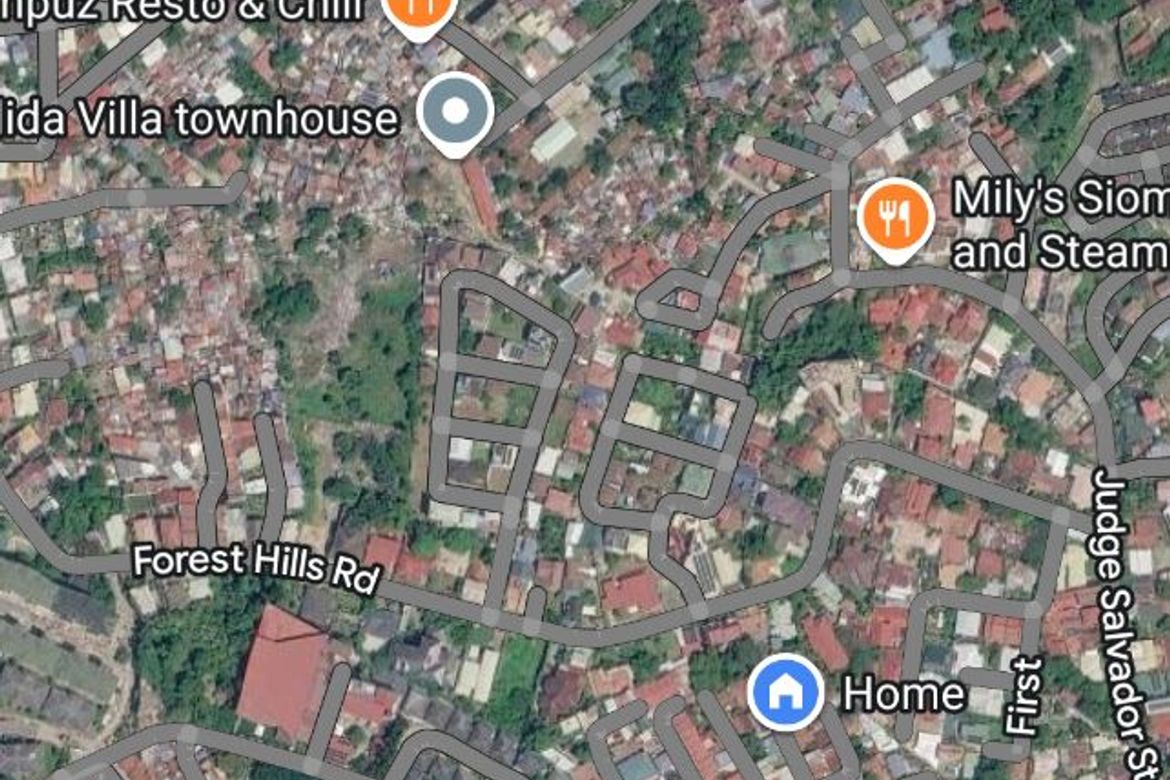 Land for Sale in Central (Pob.), Cebu City, Cebu – photo 3