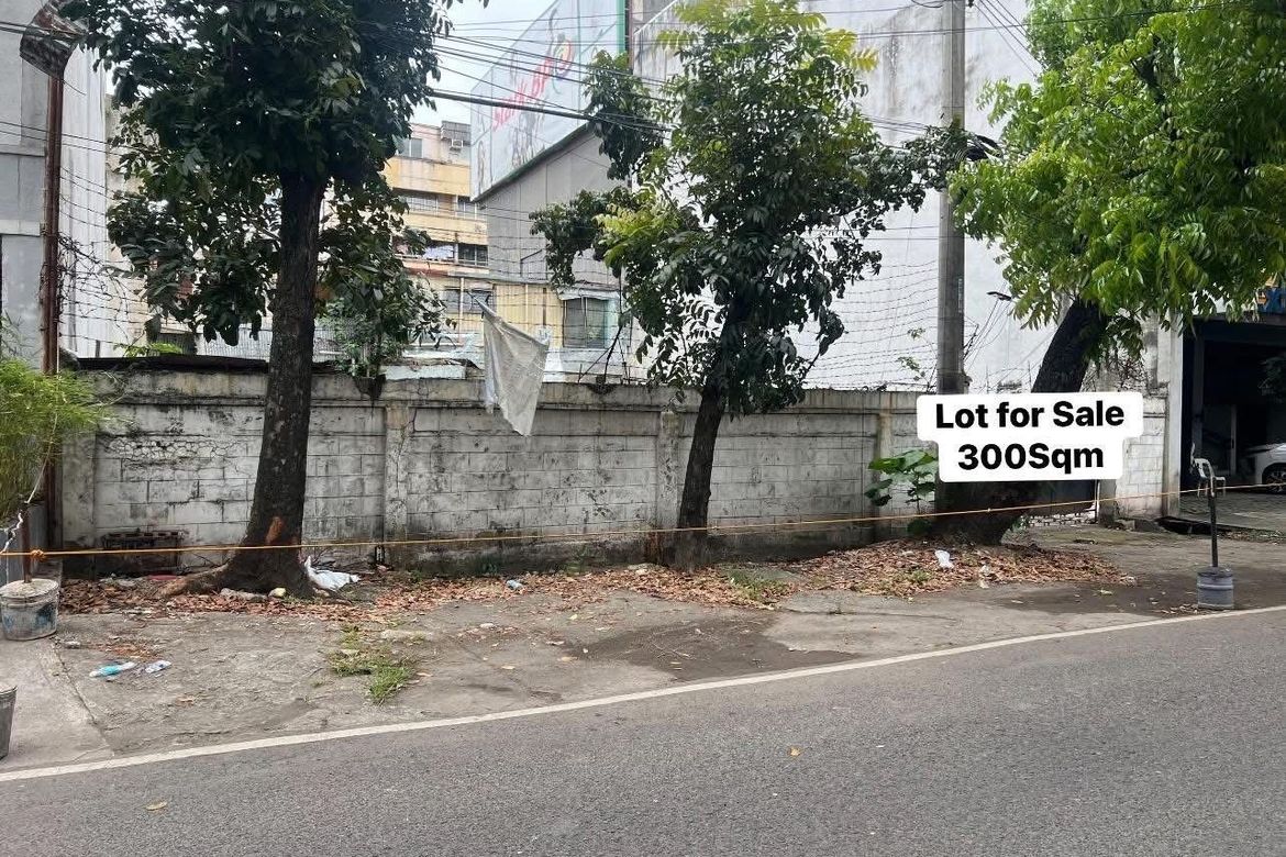 Land for Sale in Central (Pob.), Cebu City, Cebu – photo 4