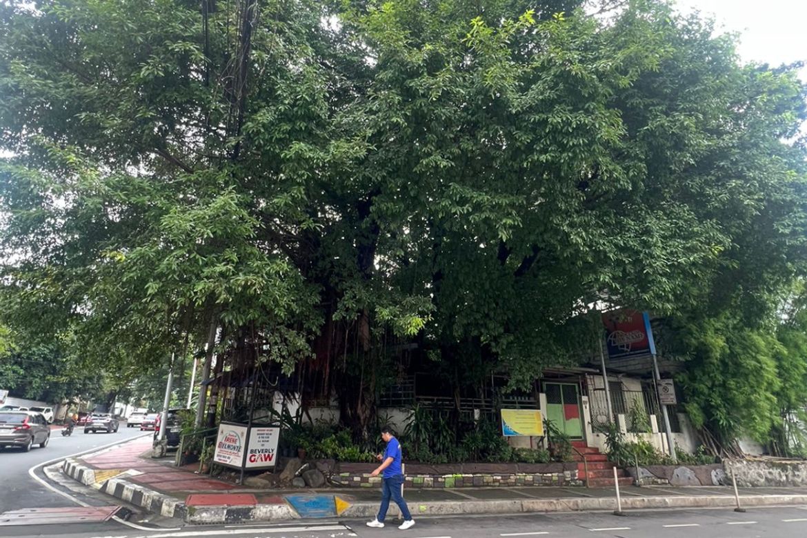 Land for Sale in Central, Quezon City, Metro Manila