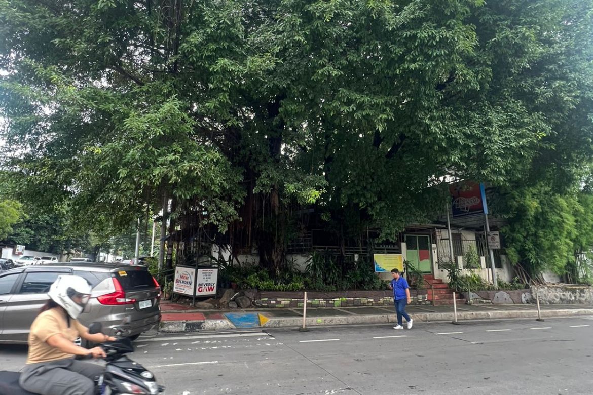 Land for Sale in Central, Quezon City, Metro Manila – photo 3
