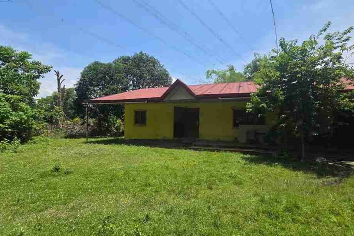 Land for Sale in Central, San Marcelino, Zambales