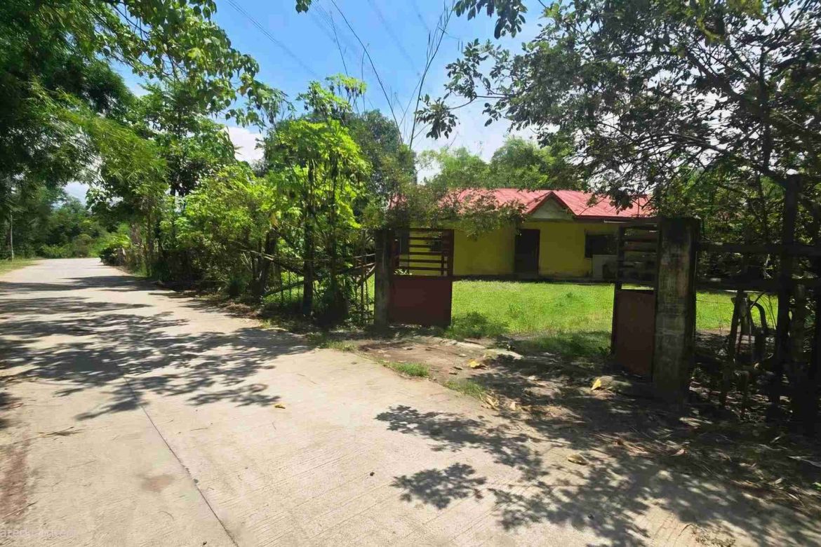 Land for Sale in Central, San Marcelino, Zambales – photo 2