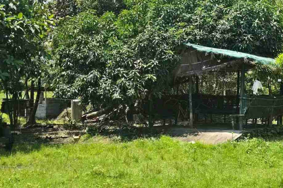 Land for Sale in Central, San Marcelino, Zambales – photo 4