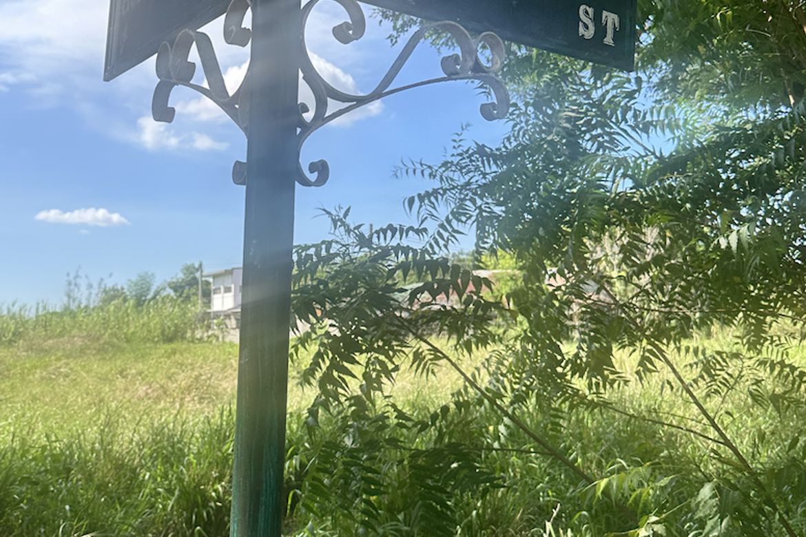 Land for Sale in Central, Tarlac, Tarlac – photo 3