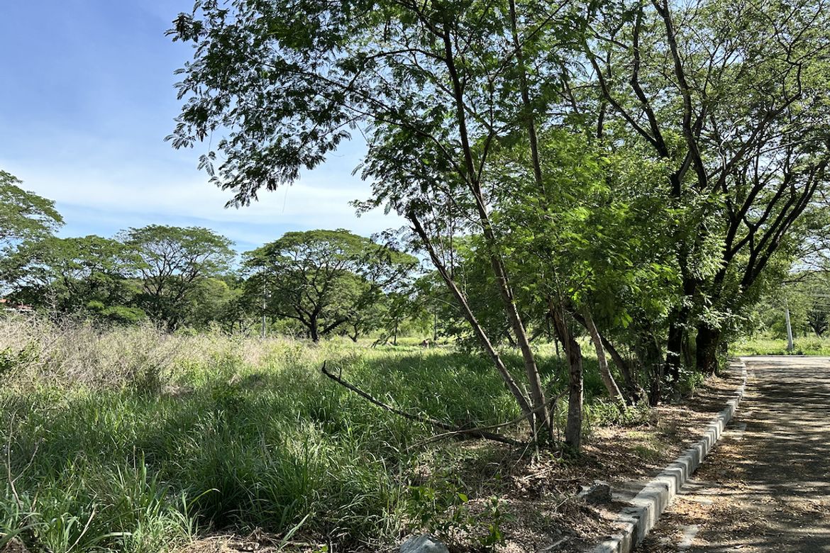 Land for Sale in Central, Tarlac, Tarlac – photo 4