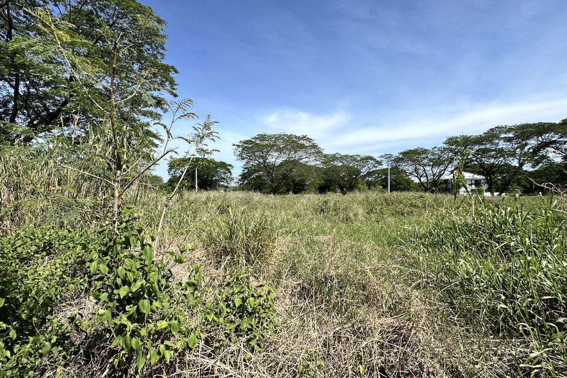 Land for Sale in Central, Tarlac, Tarlac – photo 6