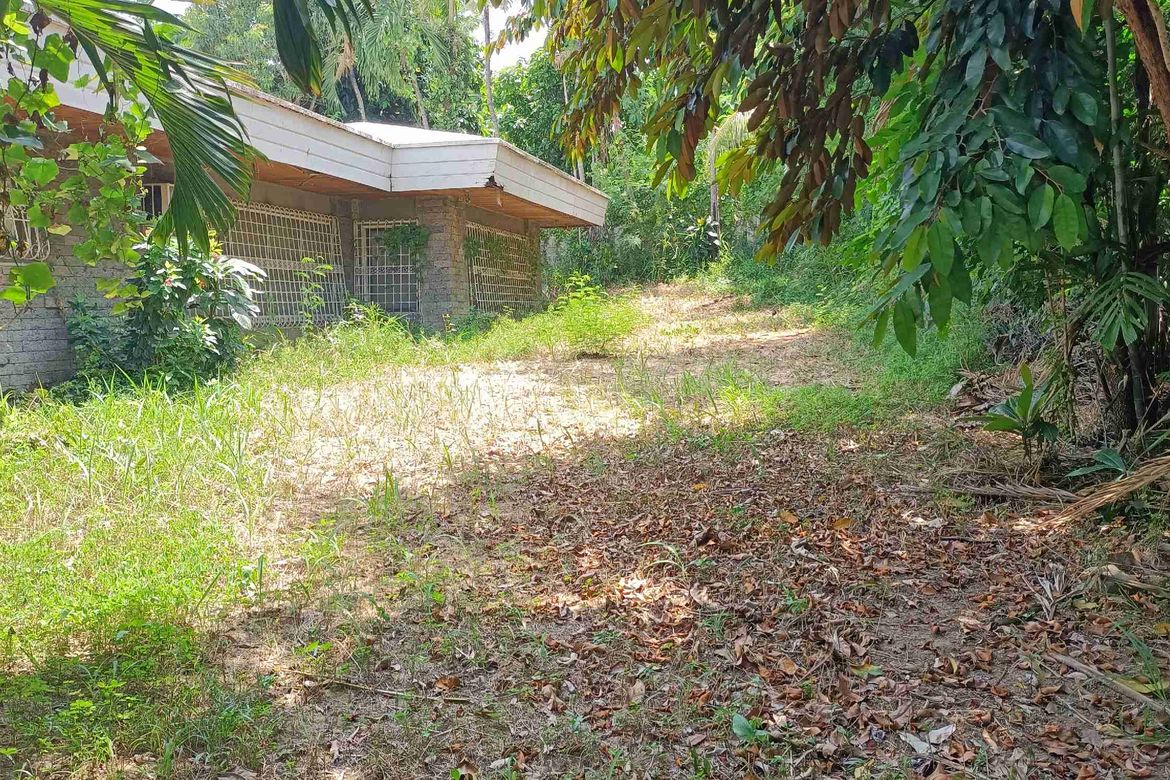 Land for Sale in Centro, Mandaue, Cebu – photo 4