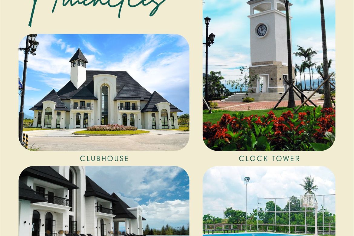 Land for Sale in Chateaux De Paris, Inchican, Silang, Cavite – photo 3