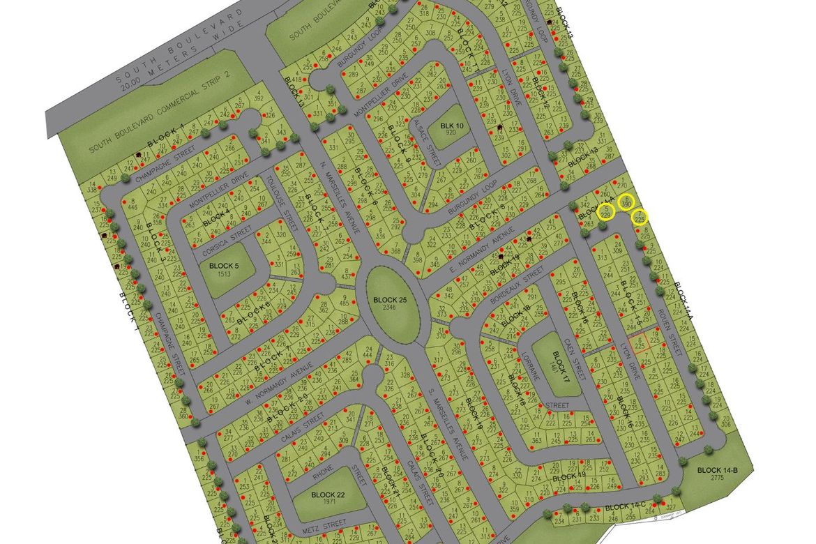 Land for Sale in Chateaux De Paris, Inchican, Silang, Cavite – photo 6