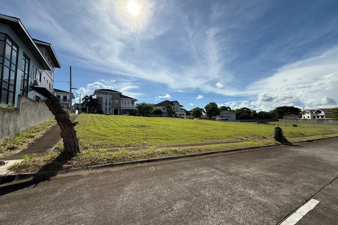 Land for Sale in Chateaux De Paris, Inchican, Silang, Cavite