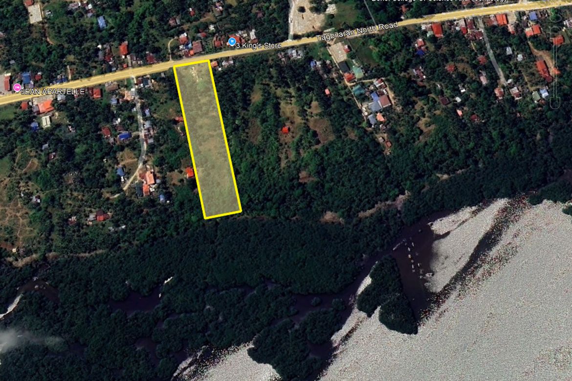 Land for Sale in Cogon Norte, Loon, Bohol – photo 3