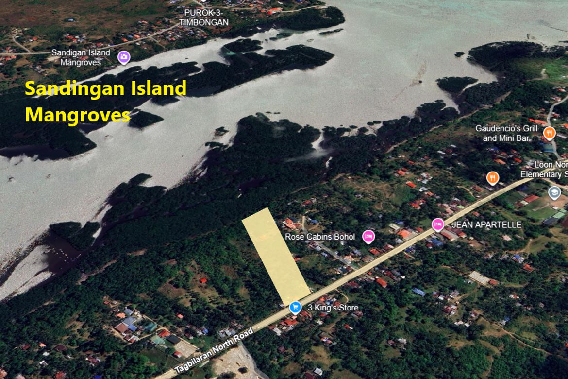 Land for Sale in Cogon Norte, Loon, Bohol – photo 4