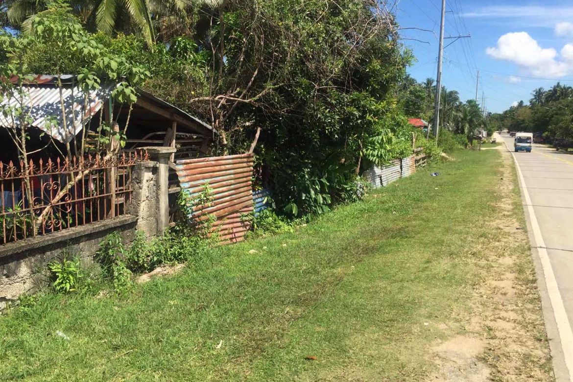 Land for Sale in Cogon Norte, Loon, Bohol – photo 7
