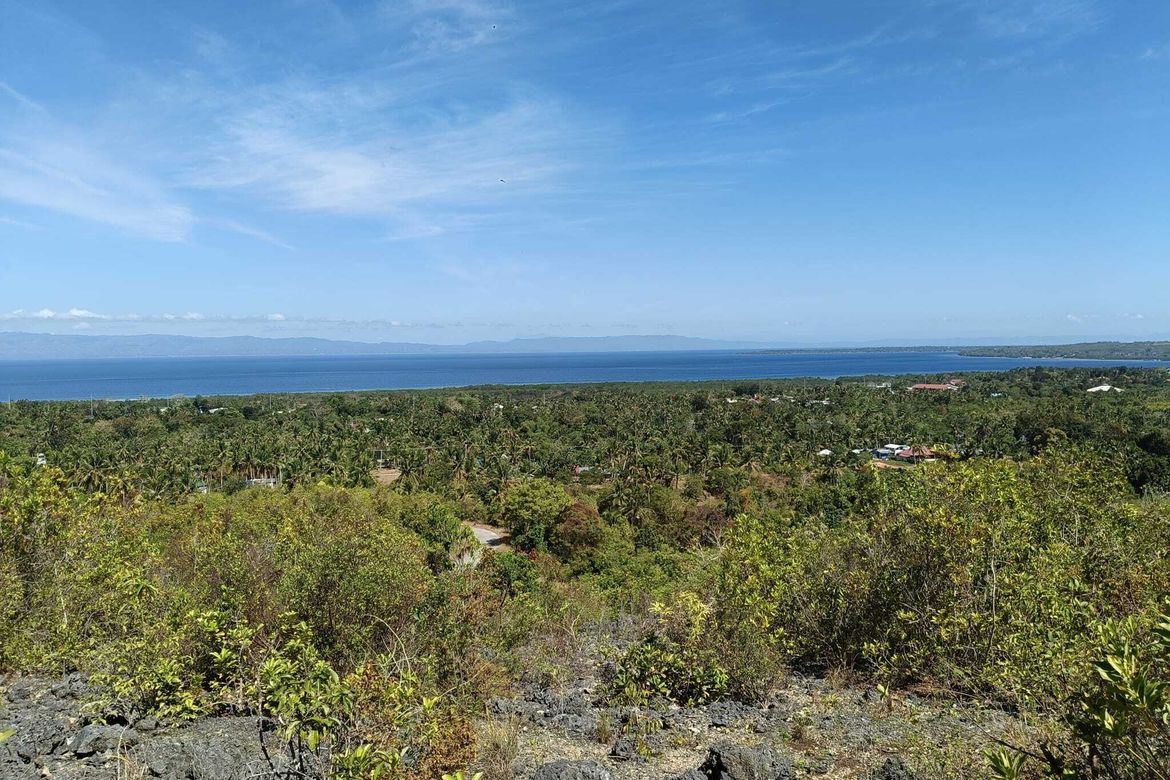 Land for Sale in Cogon Norte, Loon, Bohol