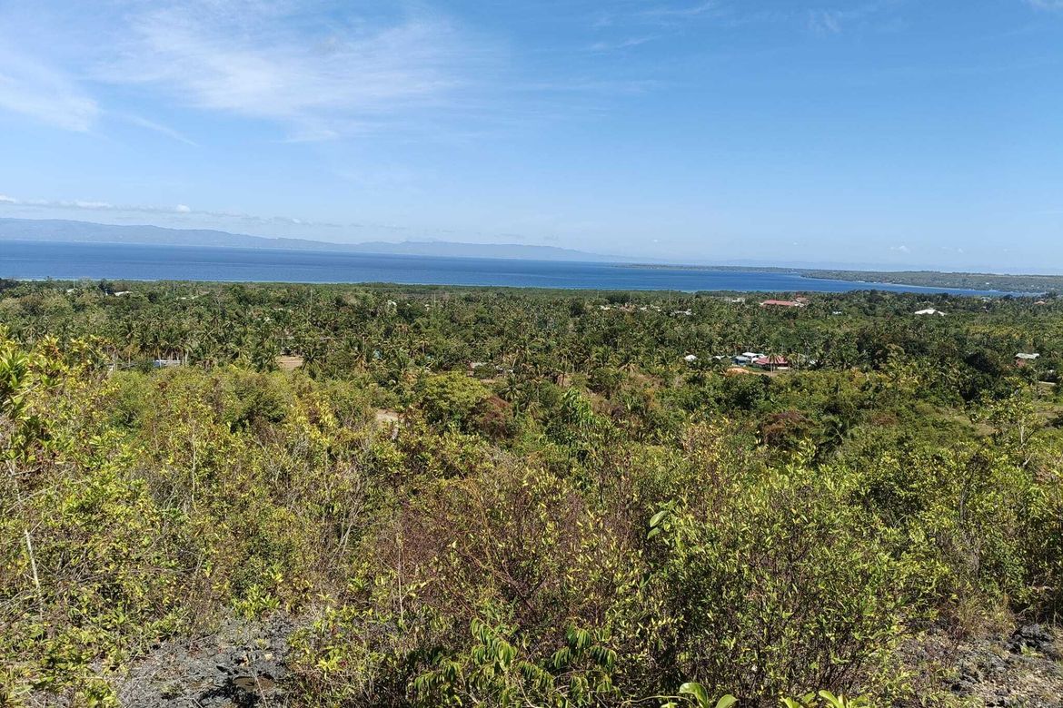 Land for Sale in Cogon Norte, Loon, Bohol – photo 3