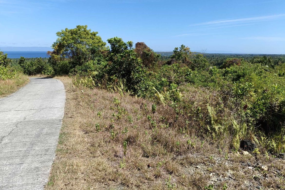 Land for Sale in Cogon Norte, Loon, Bohol – photo 4