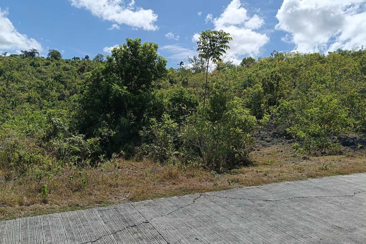 Land for Sale in Cogon Norte, Loon, Bohol – photo 8