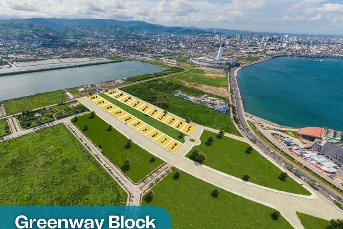 Land for Sale in Cogon Pardo, Cebu City, Cebu – photo 3