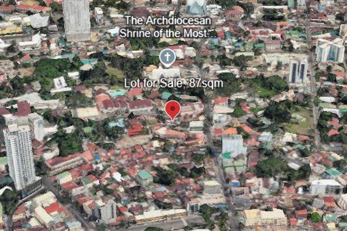 Land for Sale in Cogon Ramos, Cebu City, Cebu – photo 3